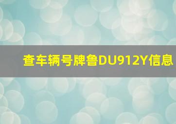 查车辆号牌鲁DU912Y信息