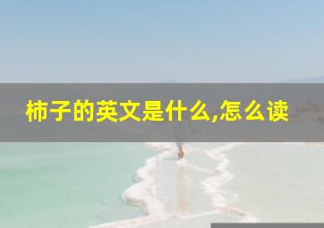 柿子的英文是什么,怎么读