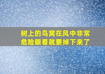 树上的鸟窝在风中非常危险眼看就要掉下来了