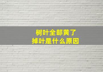 树叶全部黄了掉叶是什么原因