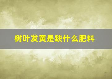 树叶发黄是缺什么肥料