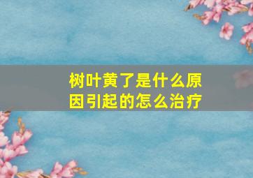 树叶黄了是什么原因引起的怎么治疗