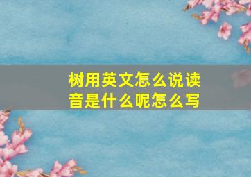 树用英文怎么说读音是什么呢怎么写