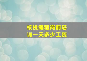 核桃编程岗前培训一天多少工资