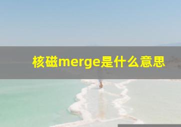 核磁merge是什么意思