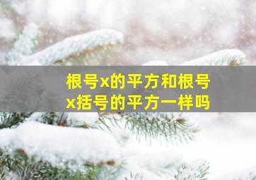 根号x的平方和根号x括号的平方一样吗