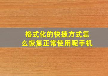 格式化的快捷方式怎么恢复正常使用呢手机