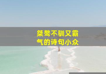 桀骜不驯又霸气的诗句小众