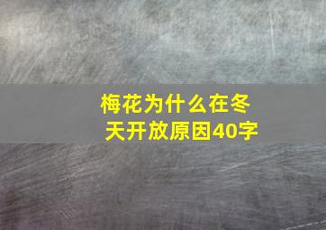 梅花为什么在冬天开放原因40字