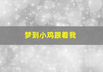 梦到小鸡跟着我