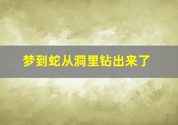 梦到蛇从洞里钻出来了