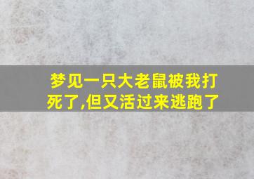 梦见一只大老鼠被我打死了,但又活过来逃跑了