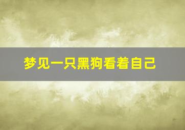 梦见一只黑狗看着自己