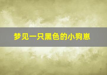 梦见一只黑色的小狗崽