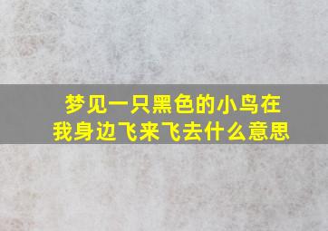 梦见一只黑色的小鸟在我身边飞来飞去什么意思