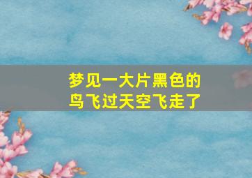 梦见一大片黑色的鸟飞过天空飞走了