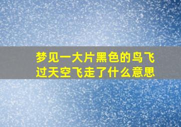 梦见一大片黑色的鸟飞过天空飞走了什么意思