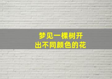 梦见一棵树开出不同颜色的花