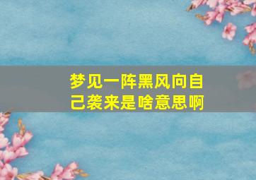 梦见一阵黑风向自己袭来是啥意思啊