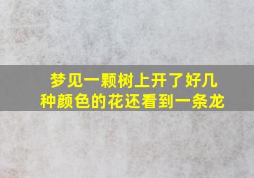 梦见一颗树上开了好几种颜色的花还看到一条龙