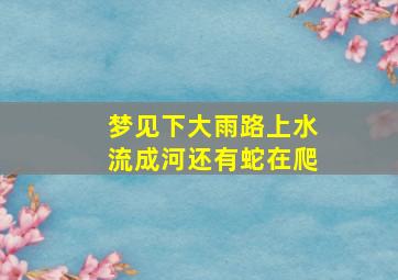 梦见下大雨路上水流成河还有蛇在爬