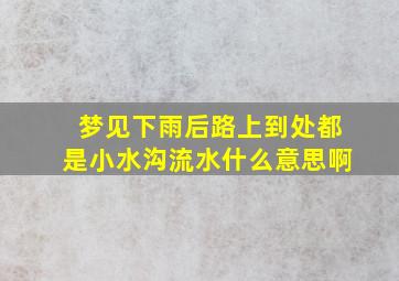 梦见下雨后路上到处都是小水沟流水什么意思啊