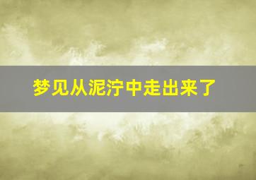 梦见从泥泞中走出来了