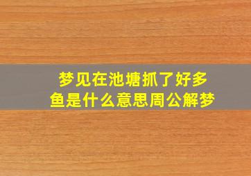 梦见在池塘抓了好多鱼是什么意思周公解梦