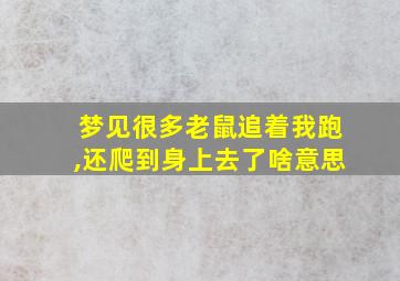 梦见很多老鼠追着我跑,还爬到身上去了啥意思