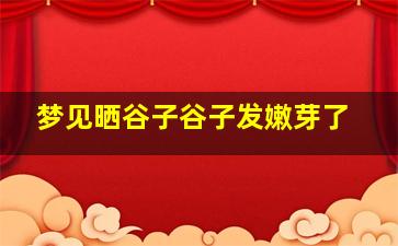 梦见晒谷子谷子发嫩芽了