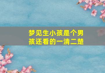 梦见生小孩是个男孩还看的一清二楚