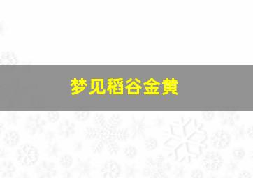 梦见稻谷金黄