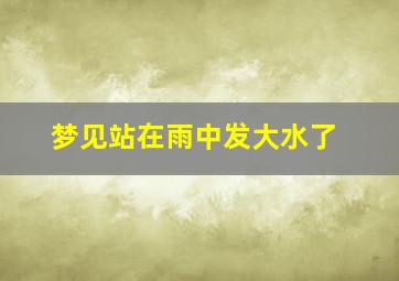 梦见站在雨中发大水了