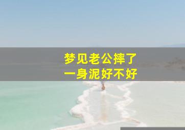 梦见老公摔了一身泥好不好