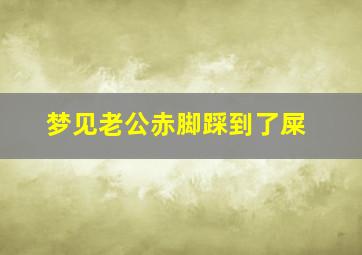 梦见老公赤脚踩到了屎