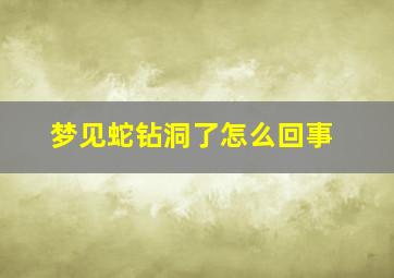 梦见蛇钻洞了怎么回事