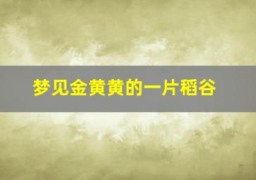 梦见金黄黄的一片稻谷