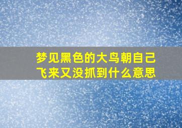 梦见黑色的大鸟朝自己飞来又没抓到什么意思