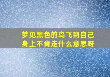 梦见黑色的鸟飞到自己身上不肯走什么意思呀