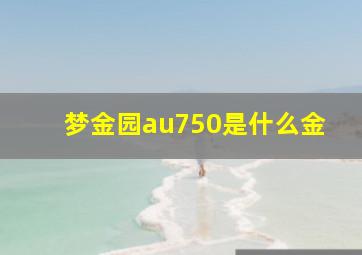 梦金园au750是什么金