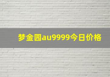 梦金园au9999今日价格