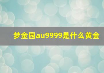 梦金园au9999是什么黄金