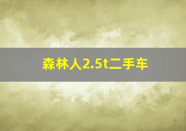 森林人2.5t二手车