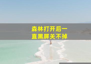 森林打开后一直黑屏关不掉