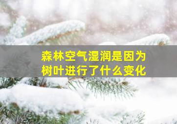 森林空气湿润是因为树叶进行了什么变化