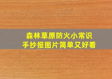 森林草原防火小常识手抄报图片简单又好看