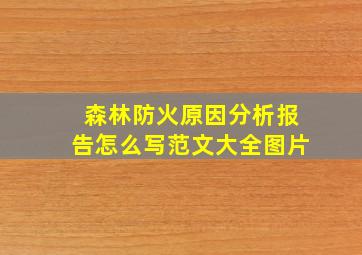 森林防火原因分析报告怎么写范文大全图片