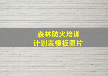 森林防火培训计划表模板图片