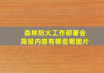 森林防火工作部署会简报内容有哪些呢图片