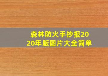 森林防火手抄报2020年版图片大全简单